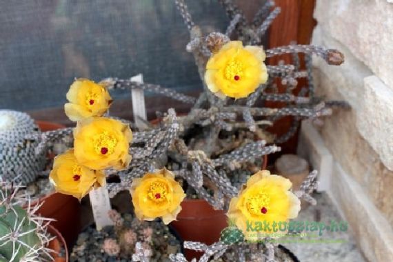 Teendők augusztusban