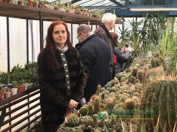 Lenyűgöző nagybányai gyűjtemények