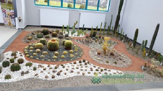 Vida Géza emlékünnepség Nagybányán