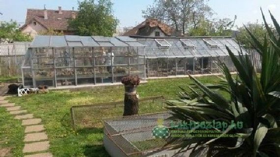 Nyílt nap Füleki Józsefnél