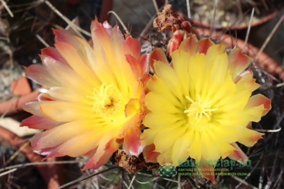 Teendők szeptemberben