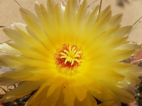 Porzás szakszerűen