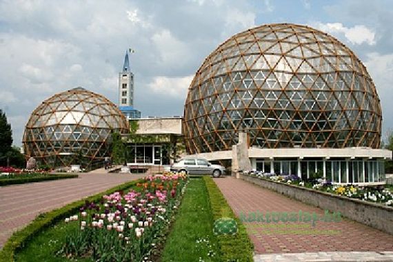 Eldugott kaktuszház Zsibón