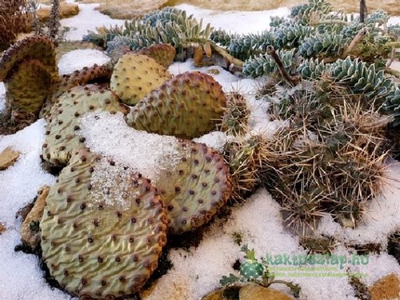 Hólepel alatt – csak rövid ideig