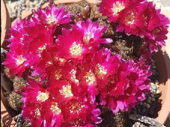 Teendők februárban