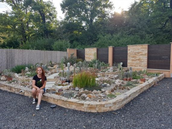 Interjú jelent meg velem a Debreceni Pozsgástárban